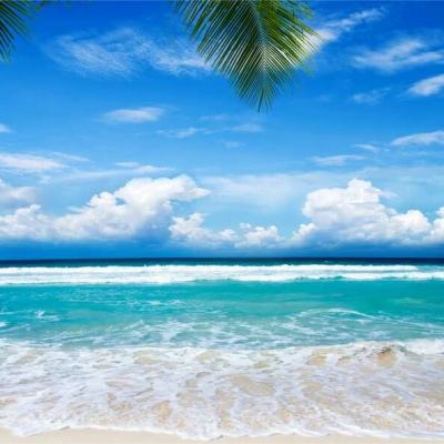 一分三快app下载手机版