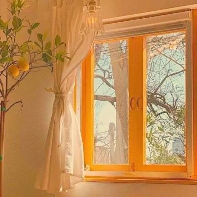 kaiyun·体育app下载